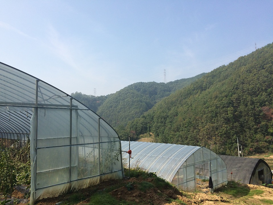 温室大棚