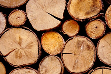 建筑木方（Engineering timber）