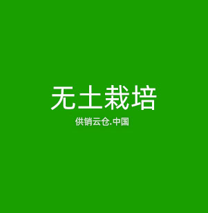 机器视觉