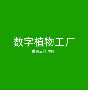 机器视觉
