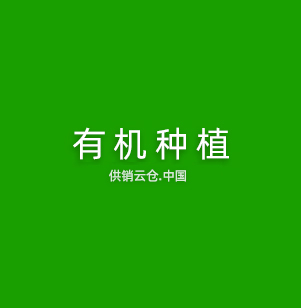机器视觉